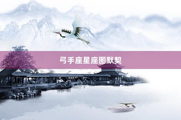 弓手座星座图默契
