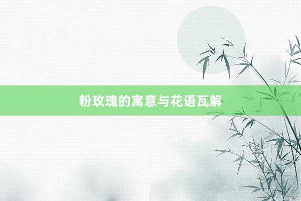 粉玫瑰的寓意与花语瓦解