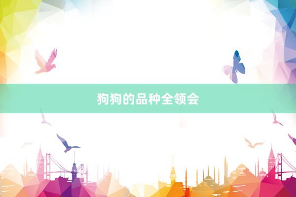 狗狗的品种全领会